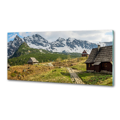 Sticlă printata bucătărie Hale Tatry