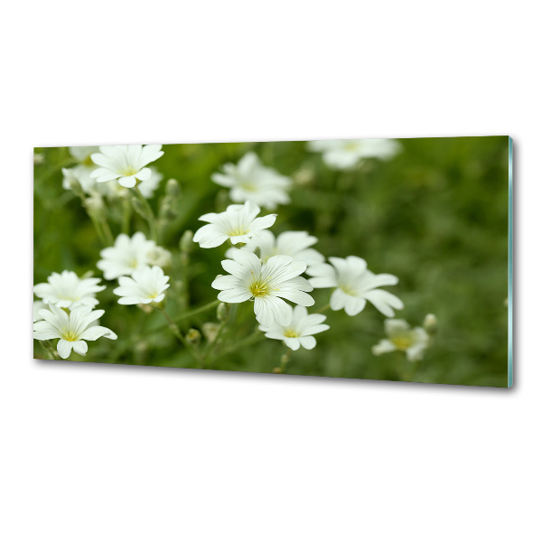Sticlă bucătărie Flori de primăvară