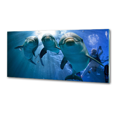 Sticlă pentru bucătărie trei delfini