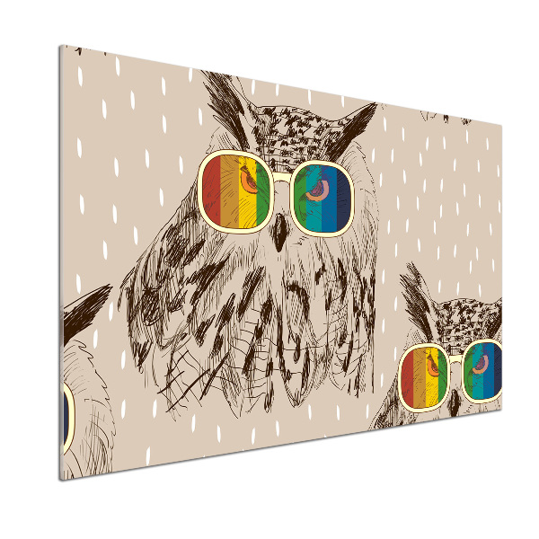Panou de bucătărie Owls ochelari