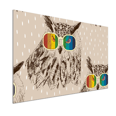 Panou de bucătărie Owls ochelari