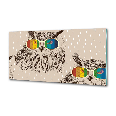Panou de bucătărie Owls ochelari