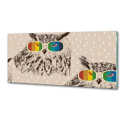 Panou de bucătărie Owls ochelari