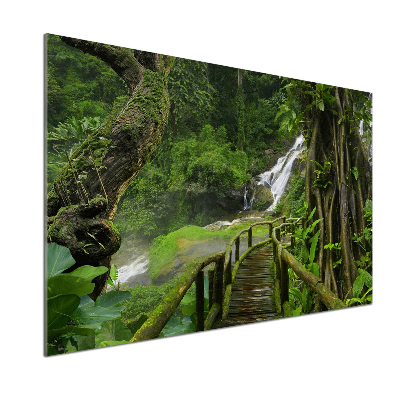 Panou perete bucătărie Cascada din junglă