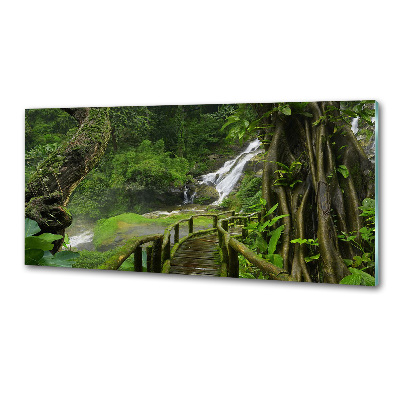 Panou perete bucătărie Cascada din junglă