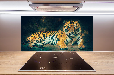 Sticlă bucătărie Tiger Cave