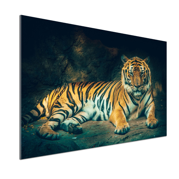 Sticlă bucătărie Tiger Cave