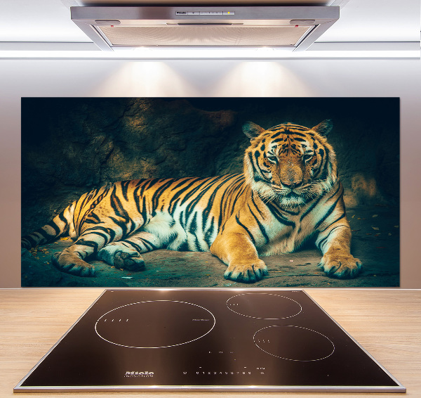 Sticlă bucătărie Tiger Cave