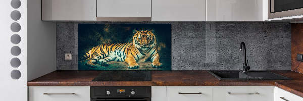 Sticlă bucătărie Tiger Cave