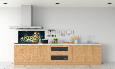 Sticlă bucătărie Tiger Cave