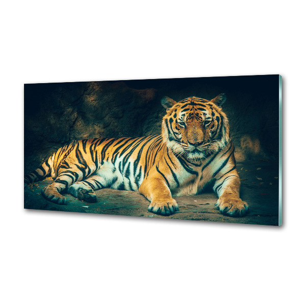 Sticlă bucătărie Tiger Cave