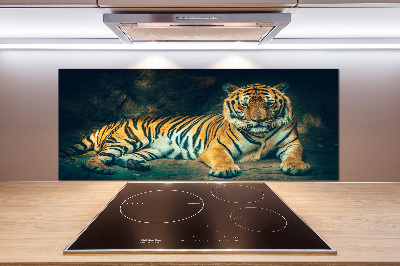 Sticlă bucătărie Tiger Cave