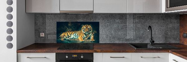 Sticlă bucătărie Tiger Cave