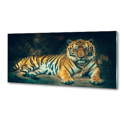 Sticlă bucătărie Tiger Cave