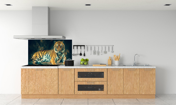 Sticlă bucătărie Tiger Cave