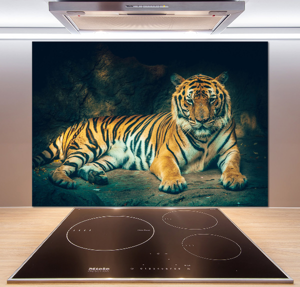 Sticlă bucătărie Tiger Cave