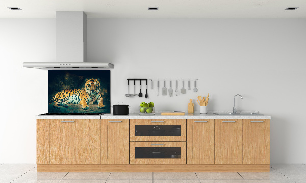 Sticlă bucătărie Tiger Cave