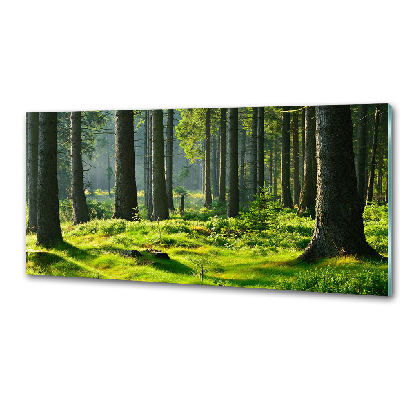 Sticlă bucătărie pădure de molid