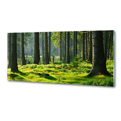 Sticlă bucătărie pădure de molid
