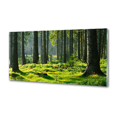 Sticlă bucătărie pădure de molid