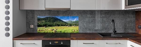 Panou sticla securizata bucatarie Oi în munții Tatra