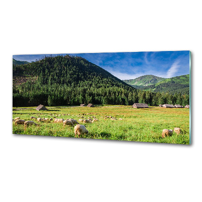 Panou sticla securizata bucatarie Oi în munții Tatra