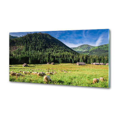 Panou sticla securizata bucatarie Oi în munții Tatra