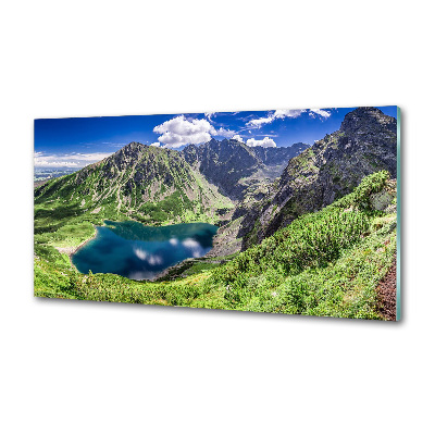 Panou sticla securizata bucatarie Negru iaz Tatry