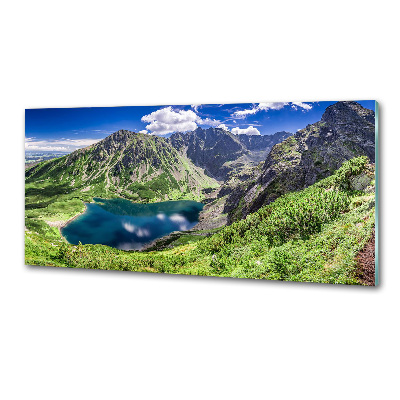 Panou sticla securizata bucatarie Negru iaz Tatry