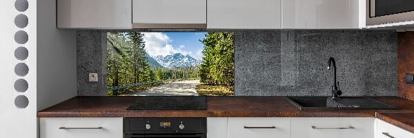 Panou sticla securizata bucatarie Road Tatry