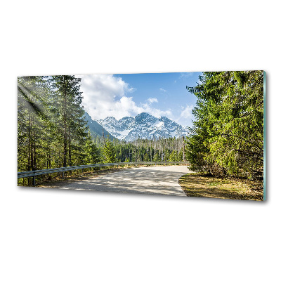 Panou sticla securizata bucatarie Road Tatry