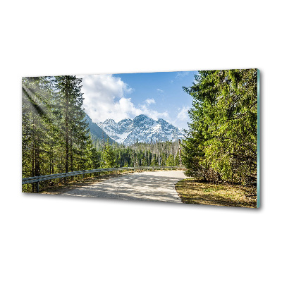 Panou sticla securizata bucatarie Road Tatry