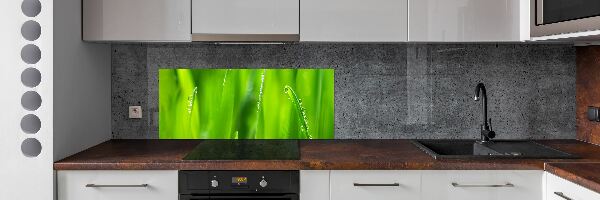 Panou sticlă decorativa bucătărie tineri ovăz