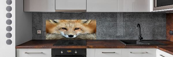 Panou sticla securizata bucatarie vulpe