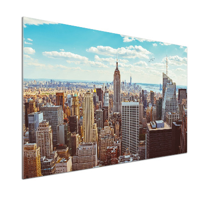Panou sticla securizata bucatarie New York pasăre de zbor