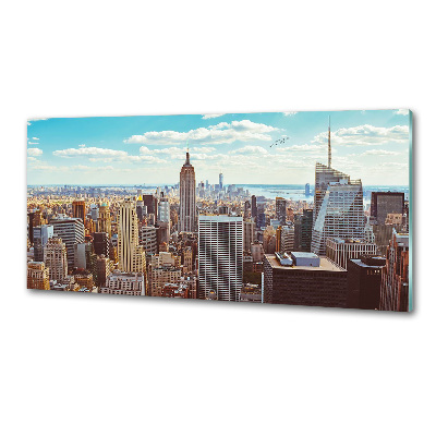 Panou sticla securizata bucatarie New York pasăre de zbor