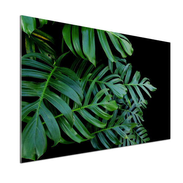 Sticlă pentru bucătărie Monstera