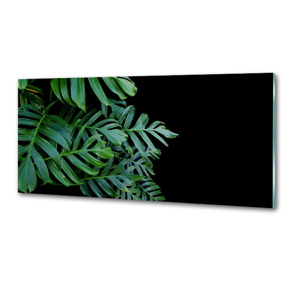 Sticlă pentru bucătărie Monstera