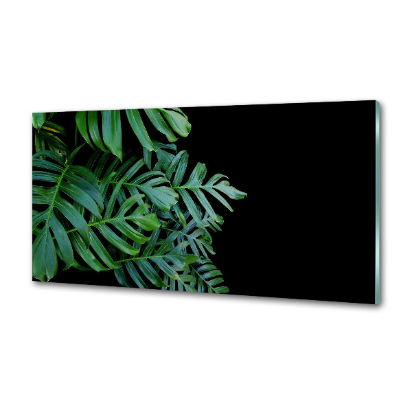 Sticlă pentru bucătărie Monstera