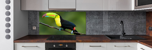 Panou de bucătărie Toucan