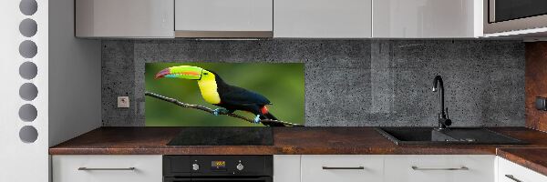 Panou de bucătărie Toucan