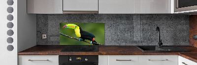 Panou de bucătărie Toucan