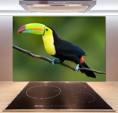 Panou de bucătărie Toucan