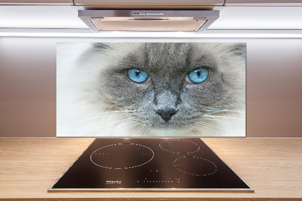 Panou sticlă decorativa bucătărie Cat ochi albaștri