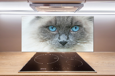 Panou sticlă decorativa bucătărie Cat ochi albaștri
