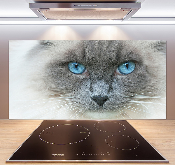Panou sticlă decorativa bucătărie Cat ochi albaștri