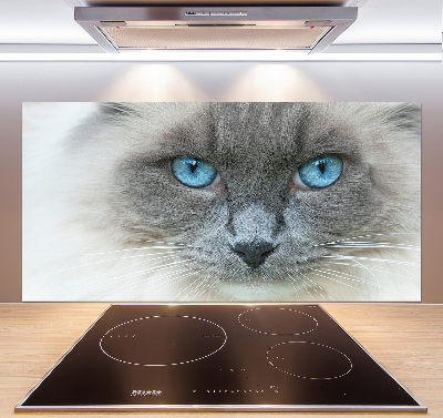 Panou sticlă decorativa bucătărie Cat ochi albaștri