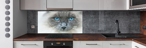 Panou sticlă decorativa bucătărie Cat ochi albaștri