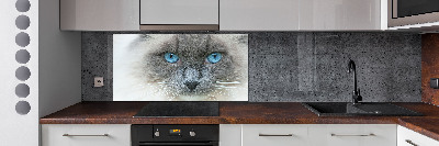 Panou sticlă decorativa bucătărie Cat ochi albaștri