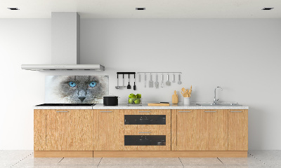 Panou sticlă decorativa bucătărie Cat ochi albaștri
